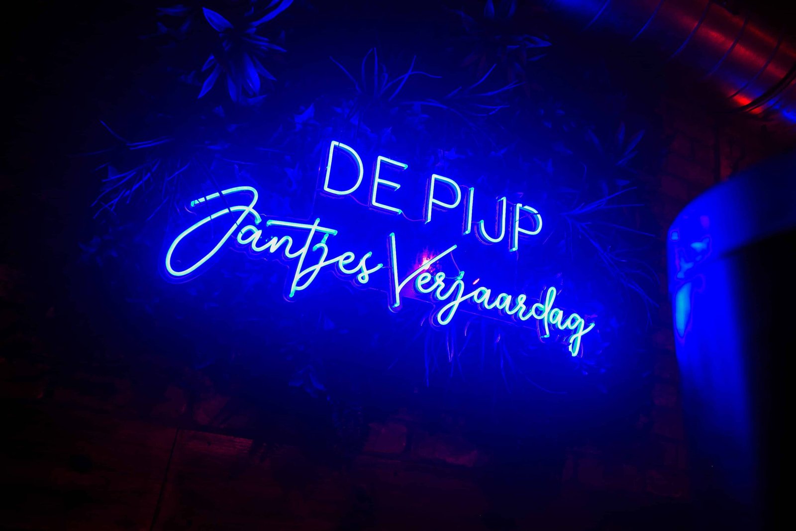 De Vaste Clique-RM-61